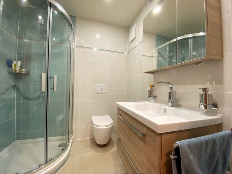 Magnifique appartement/maison de 330m2 - Jardin - 8 minutes de Morges (10)