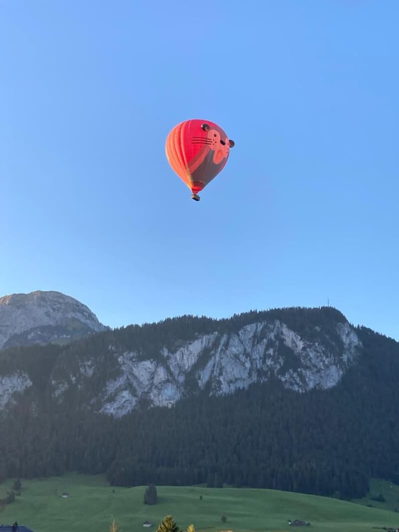 Magnifique appartement de 5.5 pièces avec vue panoramique sur les Alpes - Château-d'Oex (12)