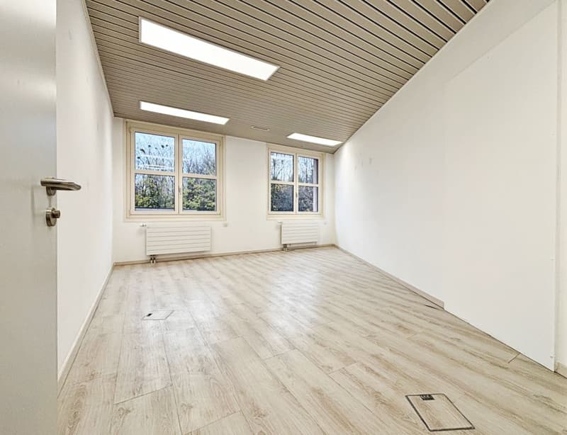 Magnifique surface de bureau au centre de Nyon (4)
