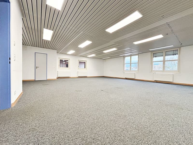Magnifique surface de bureau au centre de Nyon (9)