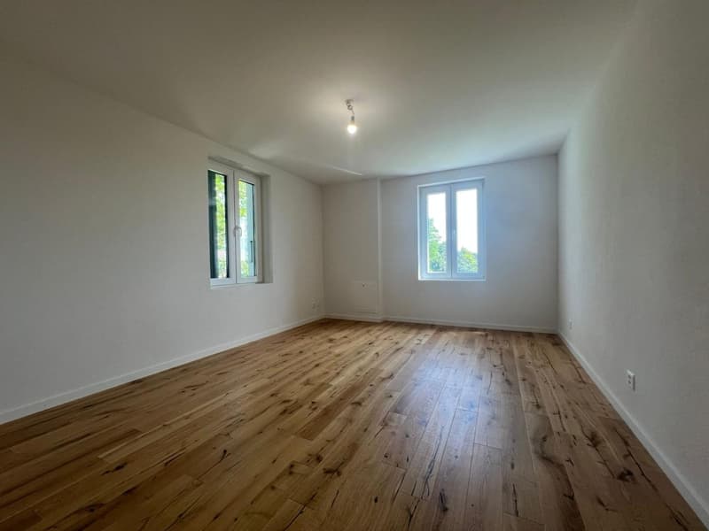 Magnifique Triplex de 4.5P / 3 CHB / 2 SDB / Balcon / Jardin privatif (5)