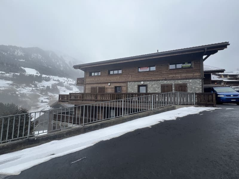 Magnifique Duplex neuf / 3 CHB / 2 SDB / 1 Balcon / Minergie (9)