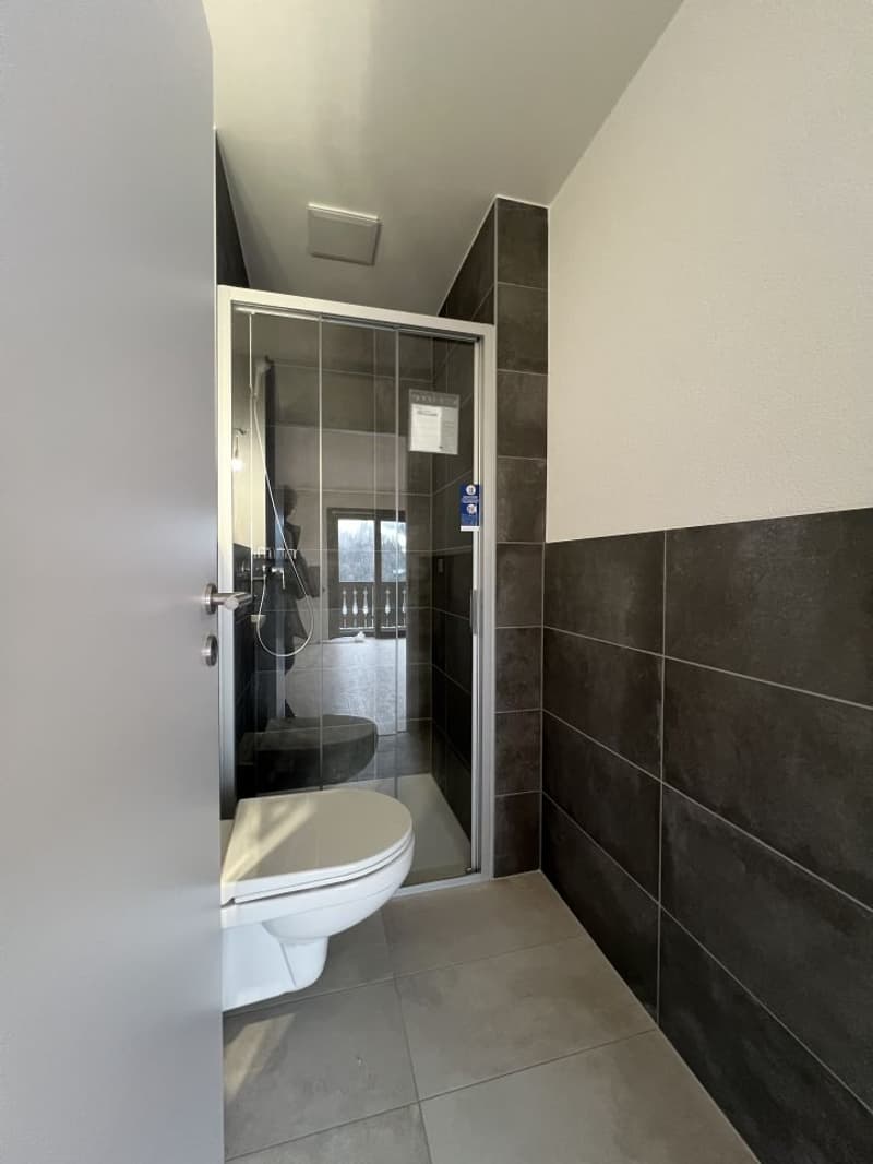 Magnifique Duplex neuf / 3 CHB / 2 SDB / 1 Balcon / Minergie (11)