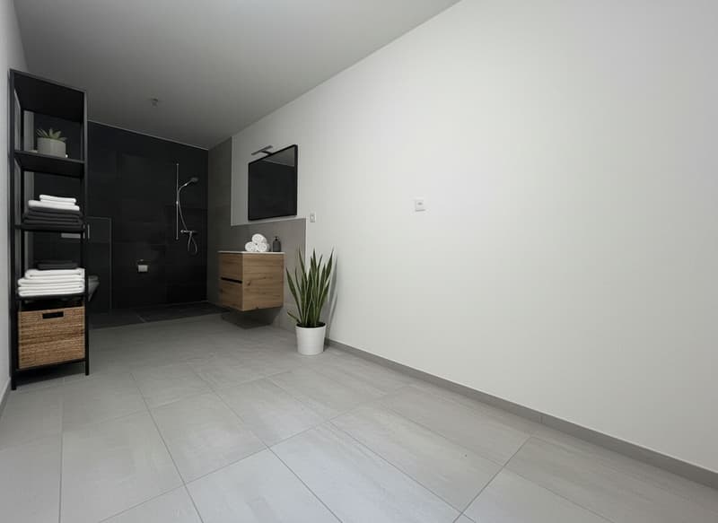 Magnifique Duplex neuf / 3 CHB / 2 SDB / 1 Balcon / Minergie (7)