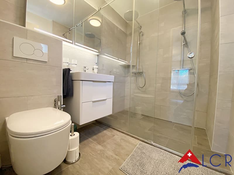 Splendide appartement meublé de 5 pièces avec vue lac (8)