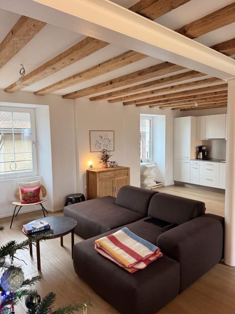 À louer - Magnifique appartement de 4.5 pièces à Féchy (VD) (4)