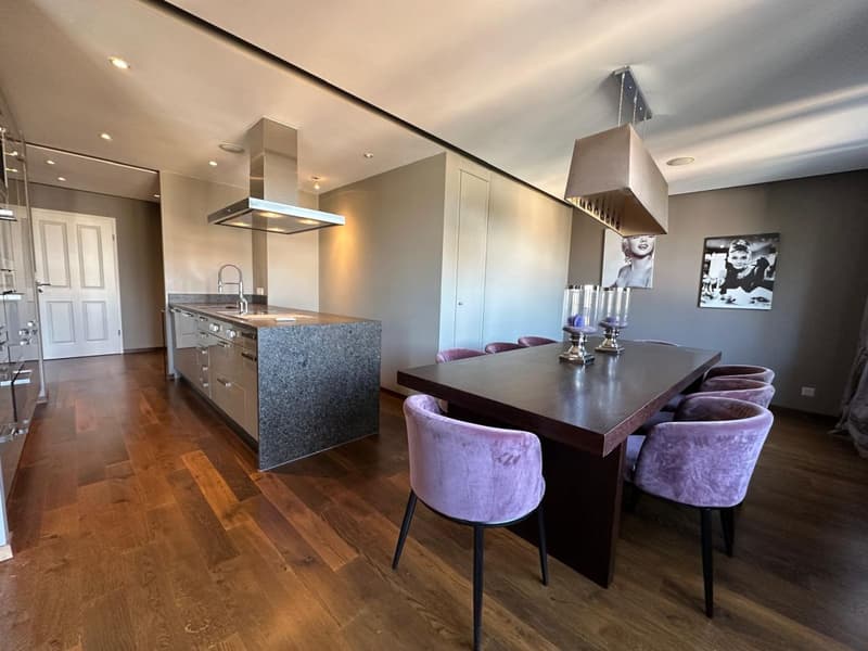 Magnifique 7 p / 4 chambres / 3 SDB / 2 Balcons (7)