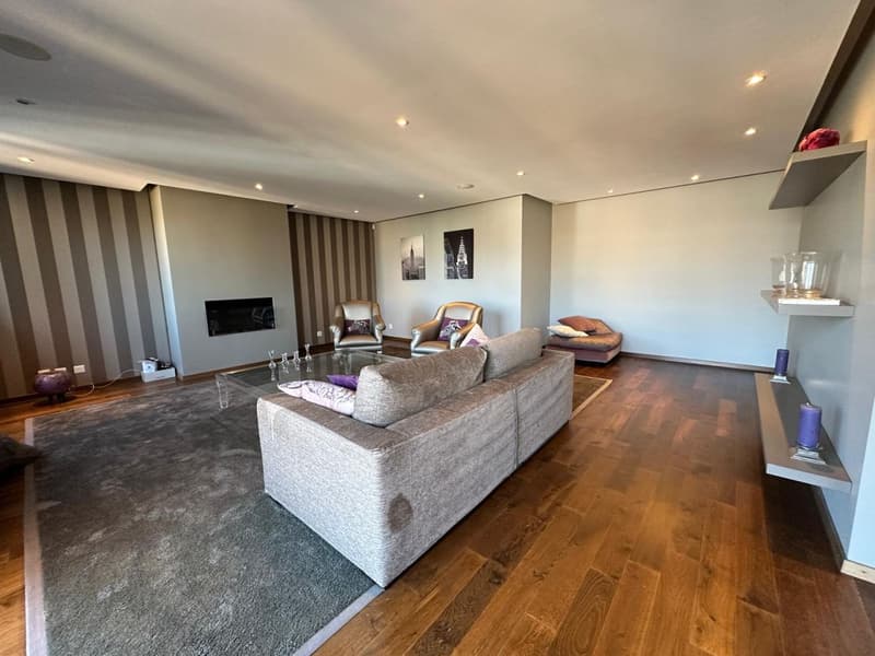 Magnifique 7 p / 4 chambres / 3 SDB / 2 Balcons (3)