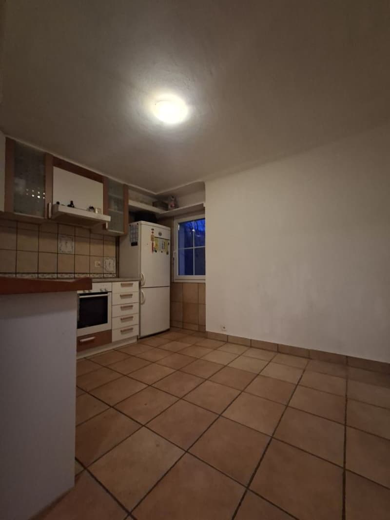 Grande maison individuelle avec son 3.5P indépendant au dessus / rendement (13)
