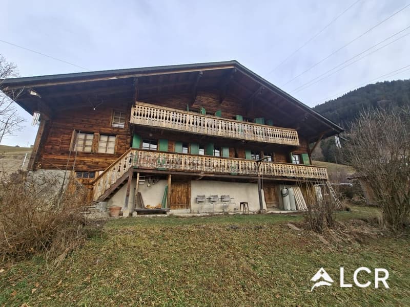 Beau et grand Chalet individuel de 200m2 avec terrain de 800m2 et son studio attenant (1)