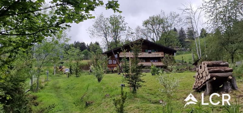 Beau et grand Chalet individuel de 200m2 avec terrain de 800m2 et son studio attenant (3)