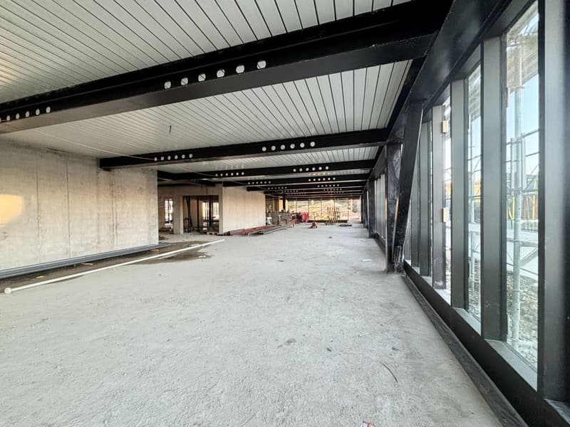 Surface commerciale en fin de construction dans zone industrielle à Saint-Prex (9)