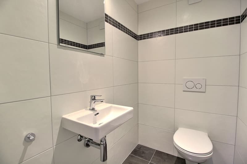 À louer - Magnifique duplex 3.5 pièces à Marly (FR) (9)