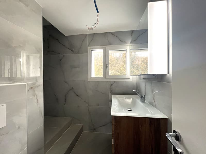 Magnifique Maison rénovée à Attalens / 3 CHB / 1 SDB / 1 Balcon / pompe à chaleur (8)