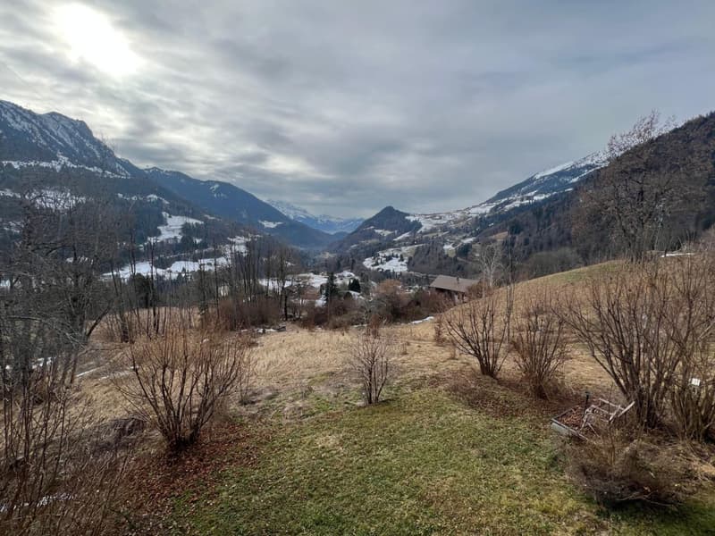 Beau chalet à rénover sur Ormont-Dessous (1)