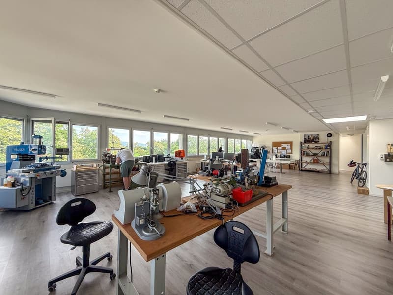 DEPOT/ BUREAU // 3 premiers loyers offerts - Belle terrasse - Vue sur le lac (2)