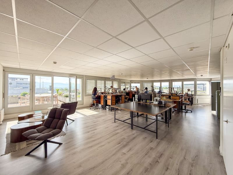 DEPOT/ BUREAU // 3 premiers loyers offerts - Belle terrasse - Vue sur le lac (7)