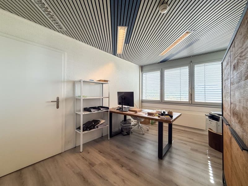DEPOT/ BUREAU // 3 premiers loyers offerts - Belle terrasse - Vue sur le lac (6)