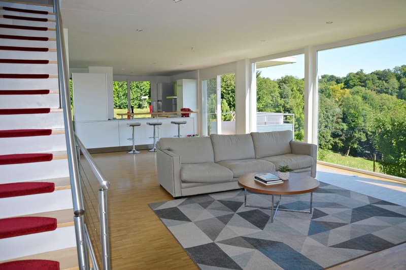 Superbe villa de standing avec piscine et grand jardin à Vufflens-le-Château (4)