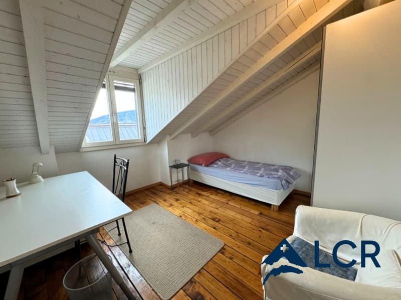 Magnifique Appartement meublé de 4P / 2 CHB / 1 SDB / plein centre Genève (4)
