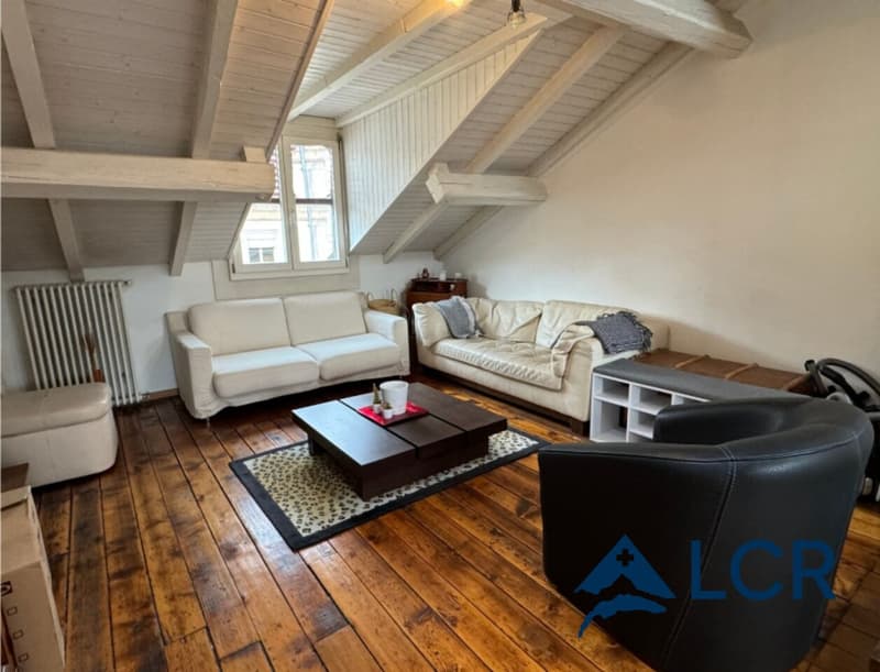 Magnifique Appartement meublé de 4P / 2 CHB / 1 SDB / plein centre Genève (1)