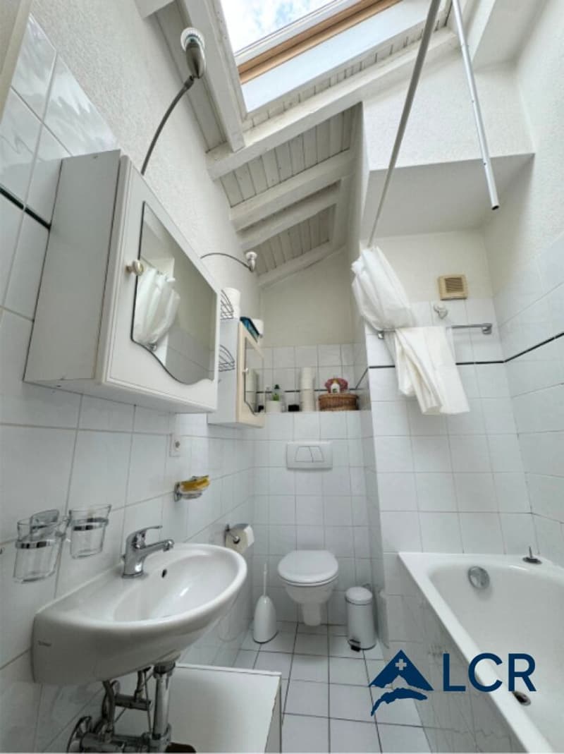 Magnifique Appartement meublé de 4P / 2 CHB / 1 SDB / plein centre Genève (5)