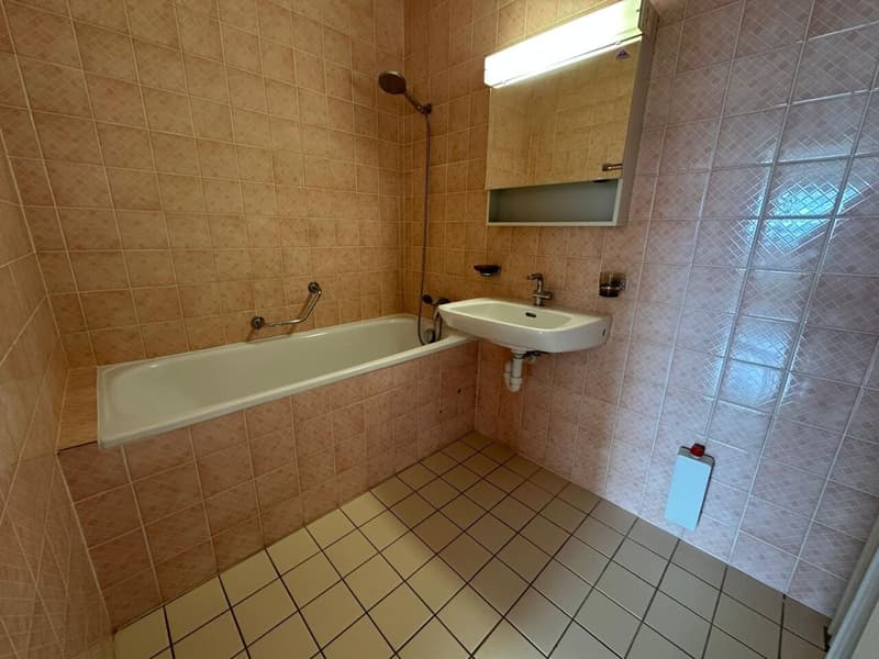 Bel appartement avec magnifique vue dégagée 3 pièces / Piscine collective (4)