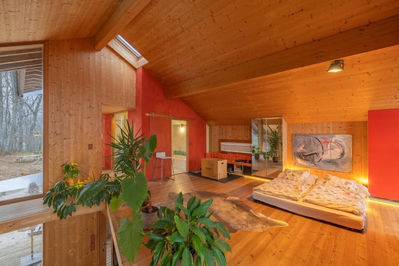 Magnifique villa d'architecte meublée avec 3 chambres au bord du forêt à Saint-Cergue (12)