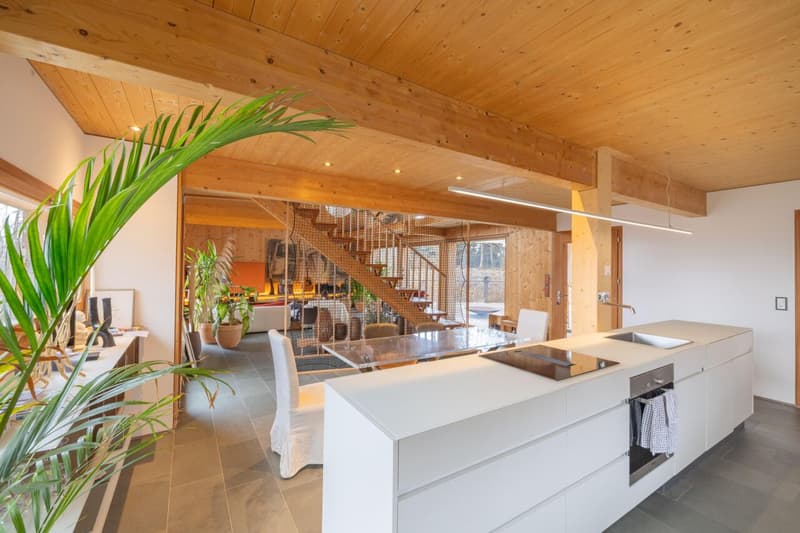 Magnifique villa d'architecte meublée avec 3 chambres au bord du forêt à Saint-Cergue (6)