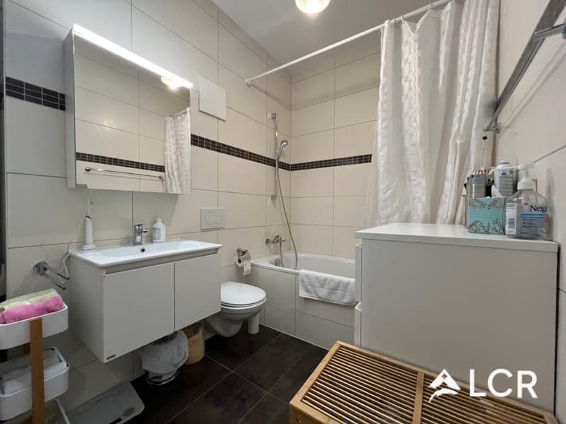 Magnifique appartement de 3.5p/2 chb/1sdb/1 balcon/1 terrasse (11)