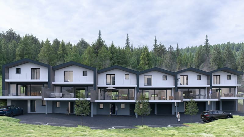 Magnifiques Maison mitoyenne neuve à Sion / Vex / Panneaux photovoltaïques (2)