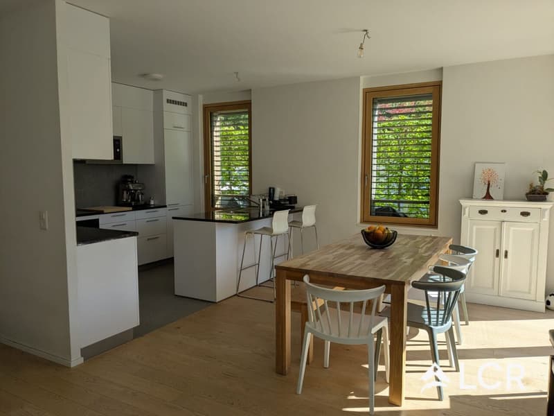 Magnifique Triplex de 5.5P / 4 CHB / 3 SDB / 1 Terrasse / vue orientation sud (2)