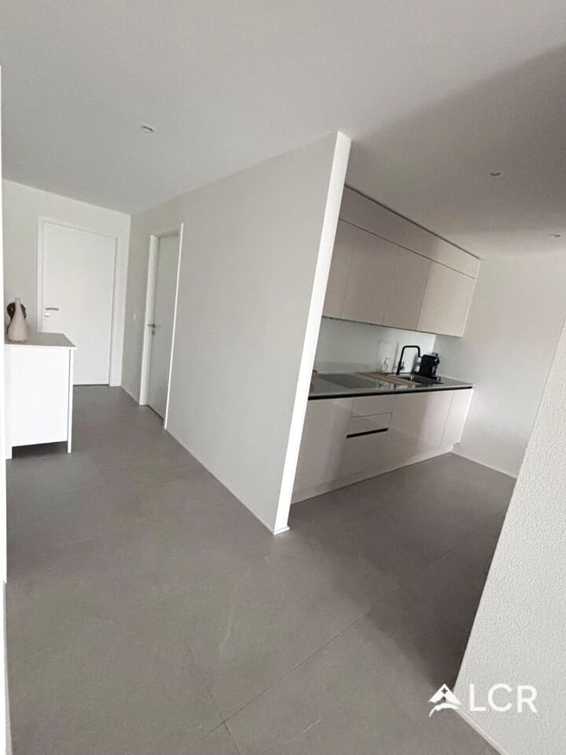 Bel appartement de 3.5P de 88m² / 2CHB / 2 SDB /1 balcon (3)