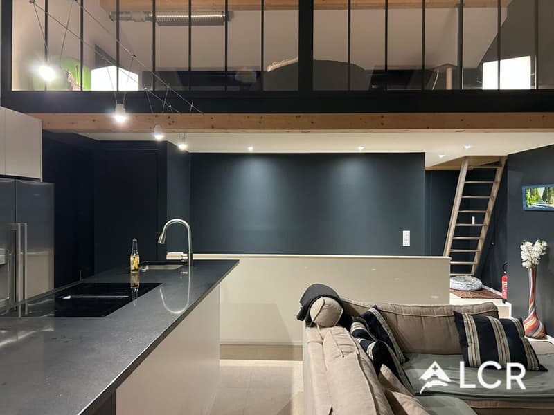 Superbe appartement neuf de 4 pièces avec jardin - Attalens (5)