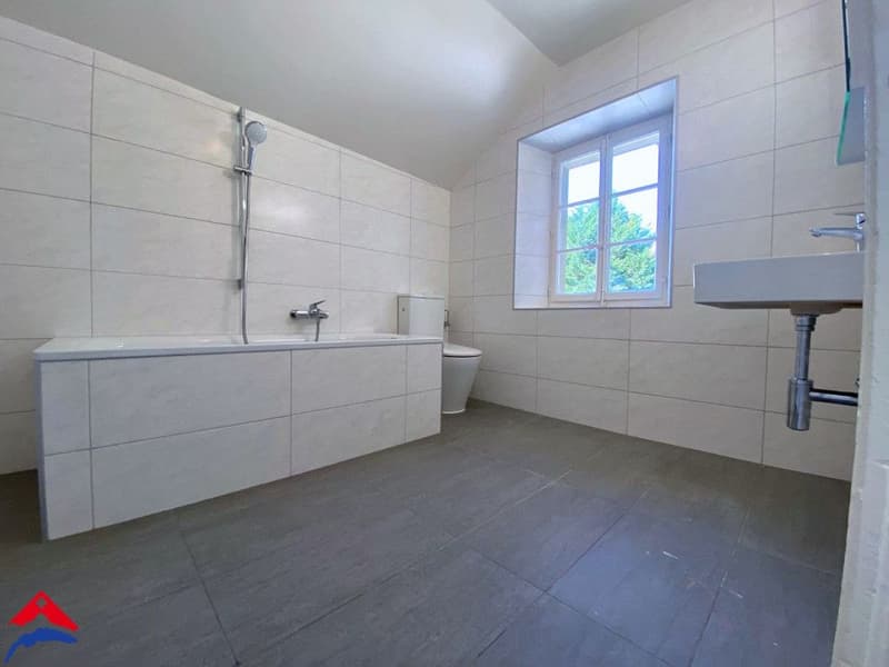 Magnifique 4,5 pièces rénové - Calme - 100m2 environ (8)