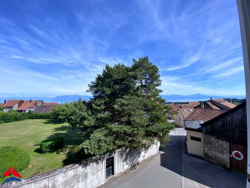 Magnifique 4,5 pièces rénové - Calme - 100m2 environ (1)
