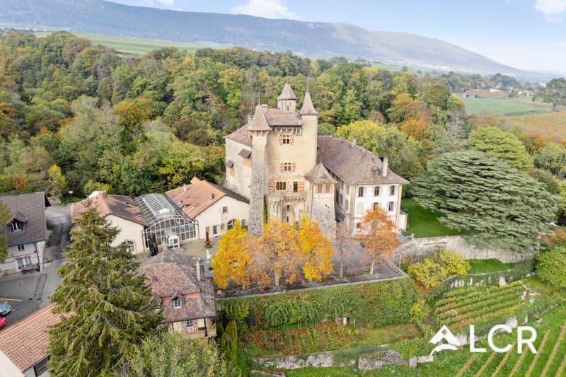 Espace de 217m² dans l'ancien Manège du Château de Vaumarcus (11)