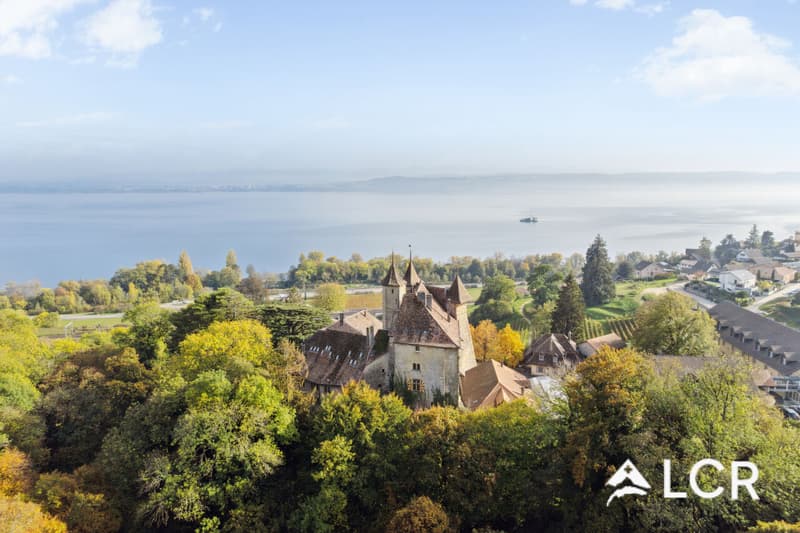 Espace de 217m² dans l'ancien Manège du Château de Vaumarcus (9)