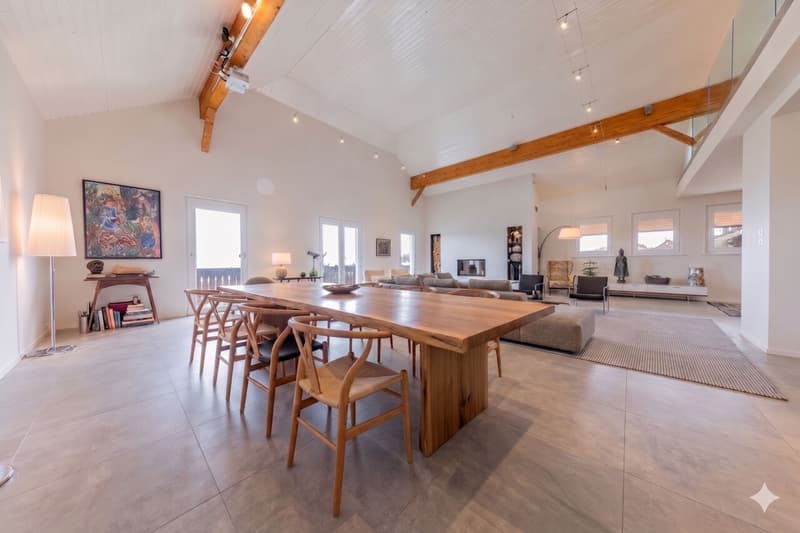 Splendide duplex de 6,5 pièces en attique - Vue sur le Mont-Blanc - 10 minutes de Nyon (2)