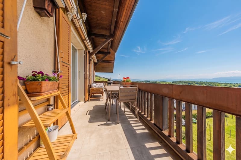 Splendide duplex de 6,5 pièces en attique - Vue sur le Mont-Blanc - 10 minutes de Nyon (4)