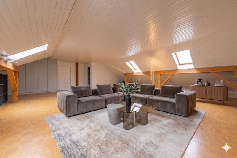 Splendide duplex de 6,5 pièces en attique - Vue sur le Mont-Blanc - 10 minutes de Nyon (5)