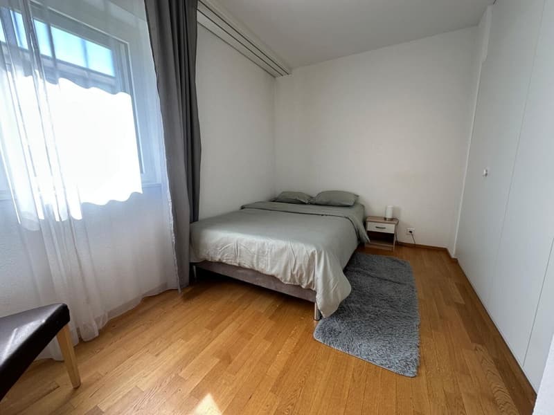 Superbe appartement meublé 5 pièces (6)