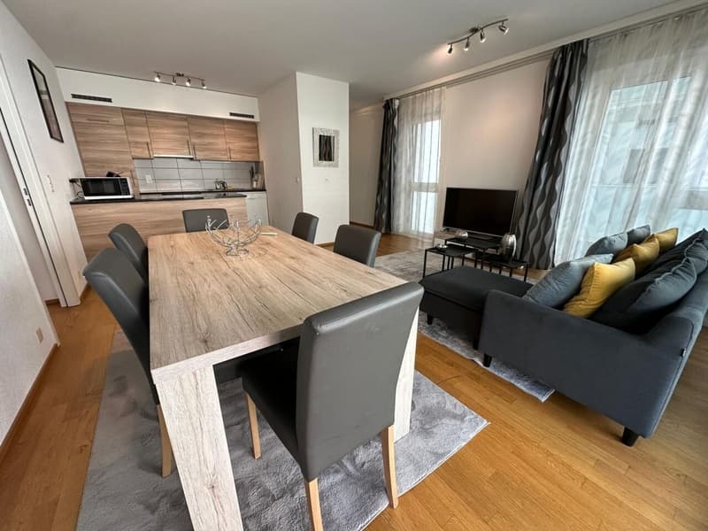 Superbe appartement meublé 5 pièces (2)