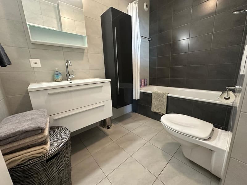 Superbe appartement meublé 5 pièces (7)