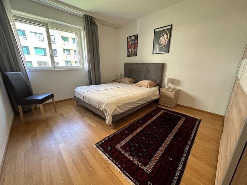 Superbe appartement meublé 5 pièces (4)
