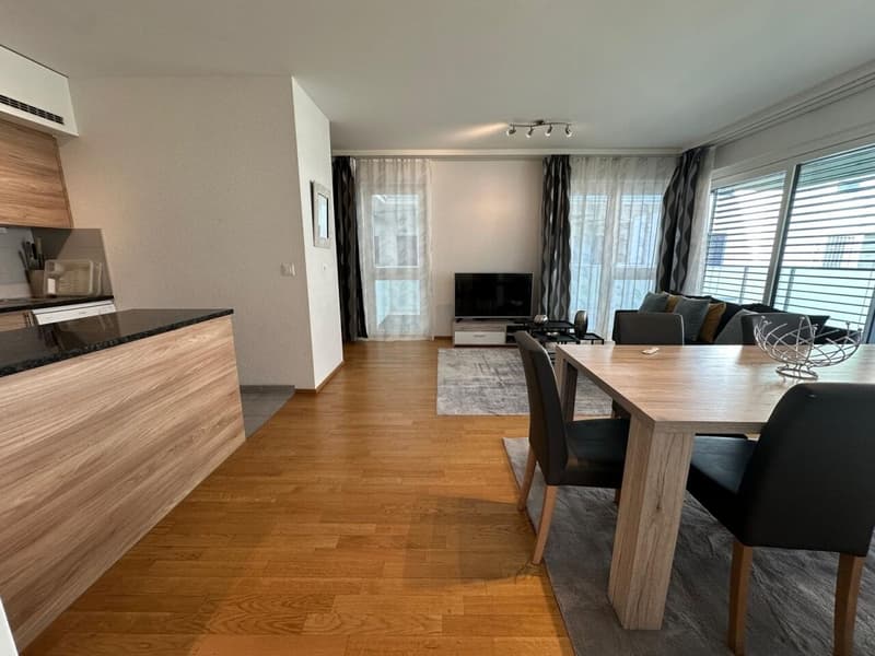 Superbe appartement meublé 5 pièces (3)