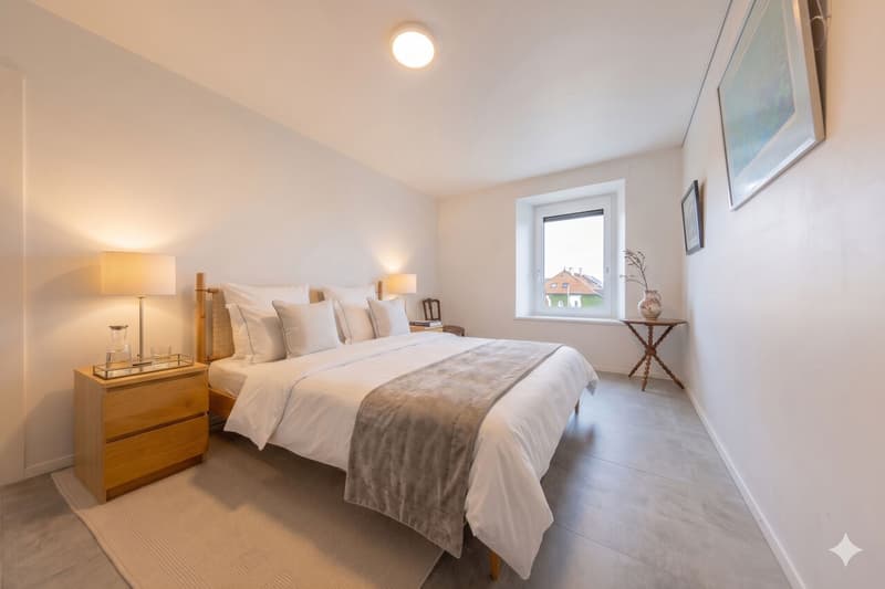 Splendide duplex  de 6,5 pièces en attique - Vue sur le Mont-Blanc - 10 minutes de Nyon (8)