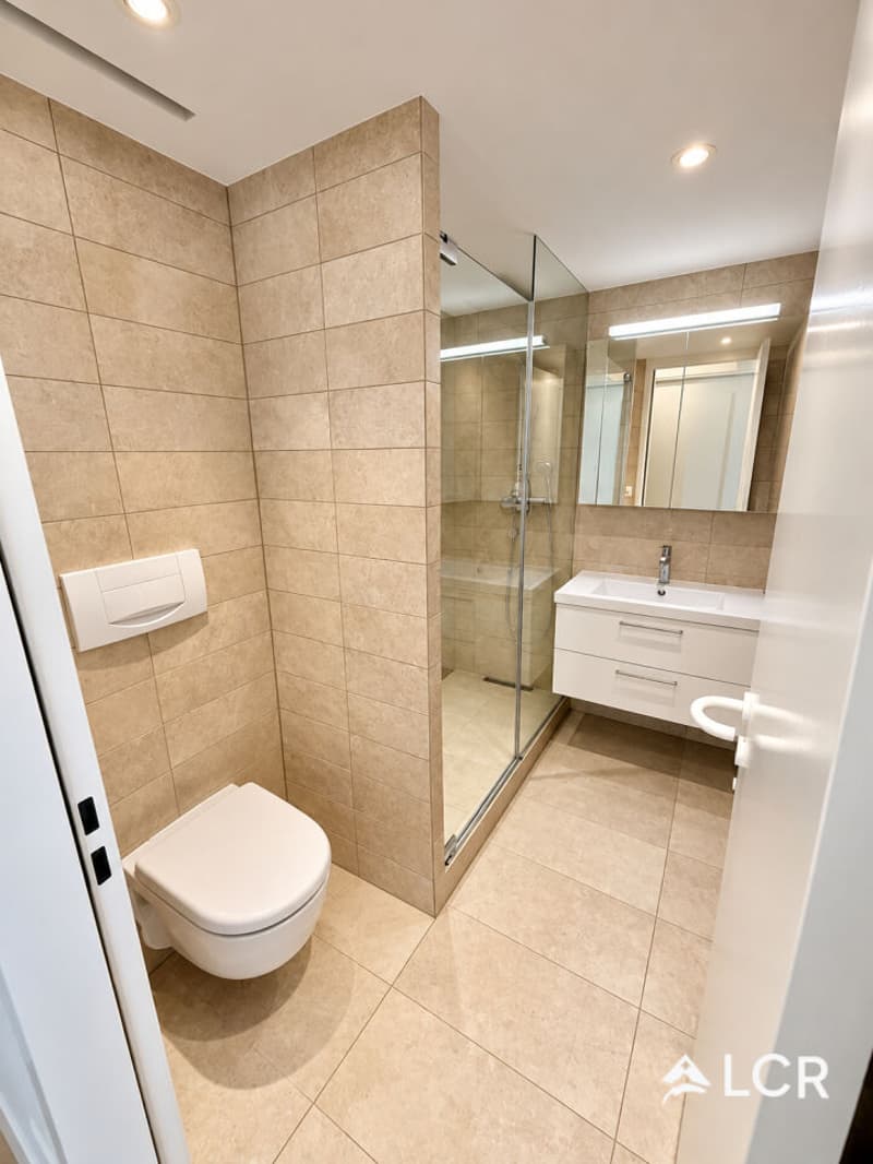 Bel appartement de 2p, au coeur de la vieille ville de Genève (4)