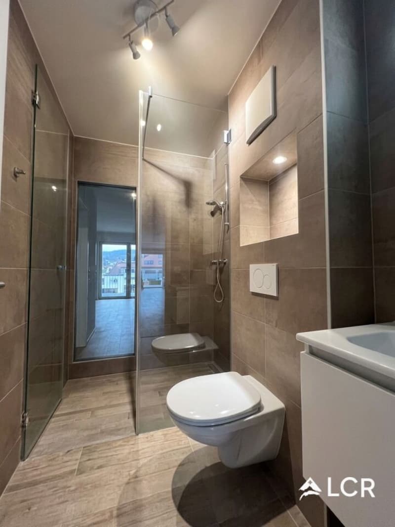 Magnifique appartement de 3.5P / 2 CHB / 2 SDB / 1 Balcon / 2 places de parc (7)