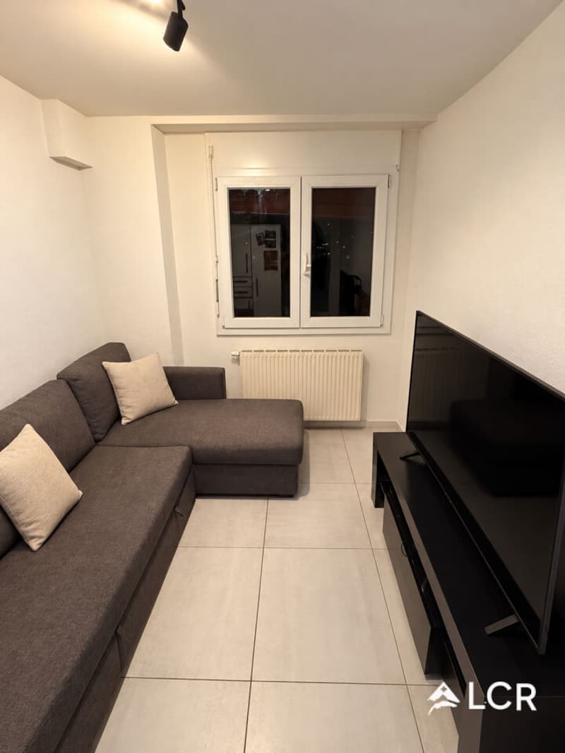 Bel appartement de 4.5p à Châtel-st-Denis (11)